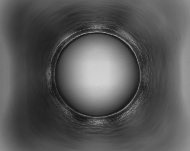 X0000097800831200803201355