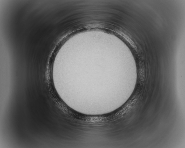 X0000097800832200803201355