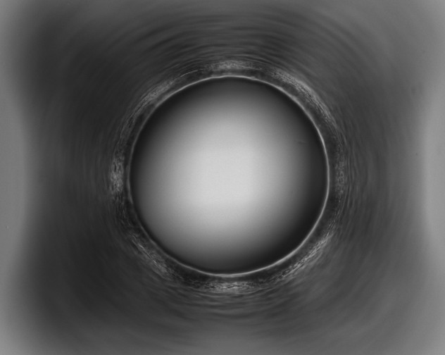 X0000097800833200803201355