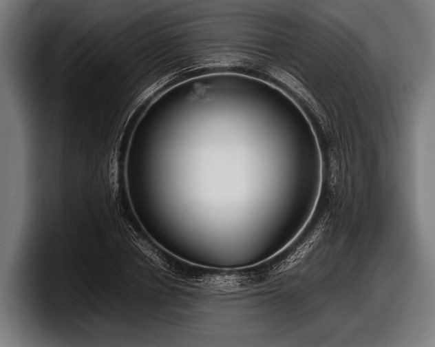 X0000097800834200803201355