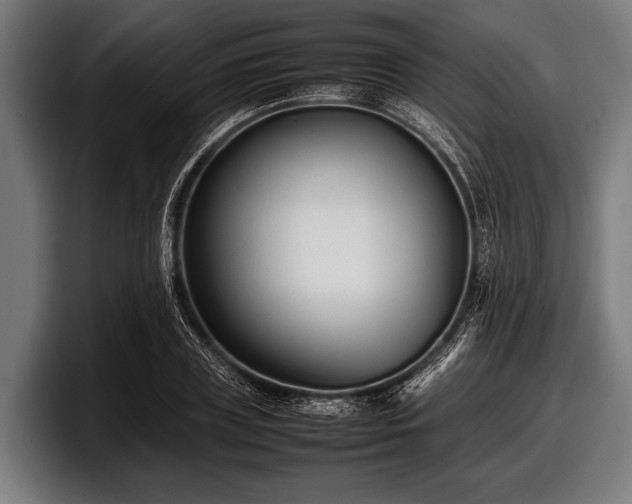 X0000097800835200803201355