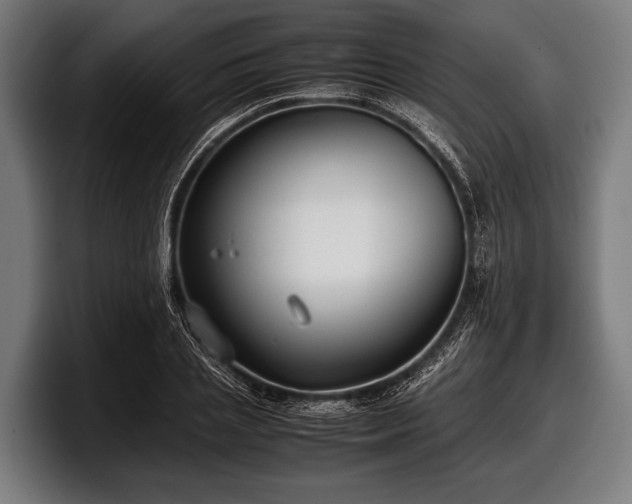 X0000097800837200803201355