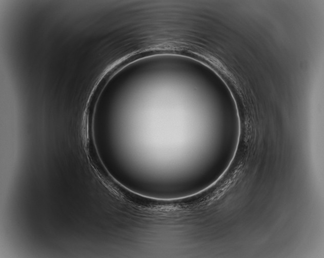 X0000097800838200803201355