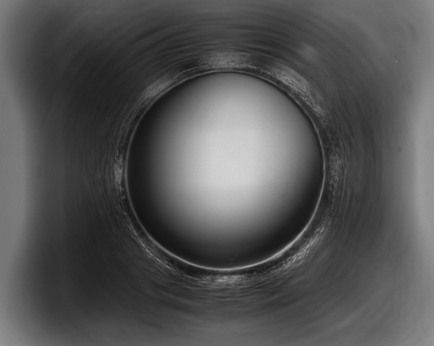 X0000097800841200803201355