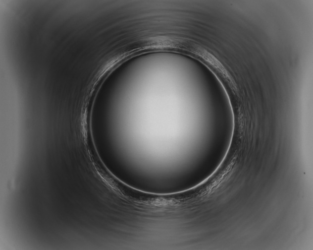 X0000097800842200803201356