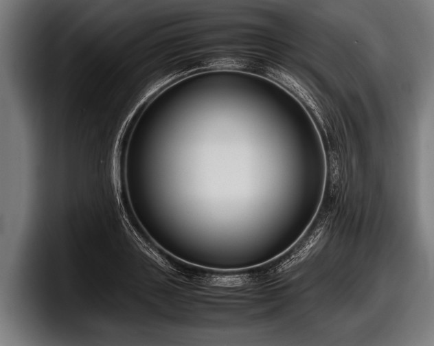 X0000097800843200803201356