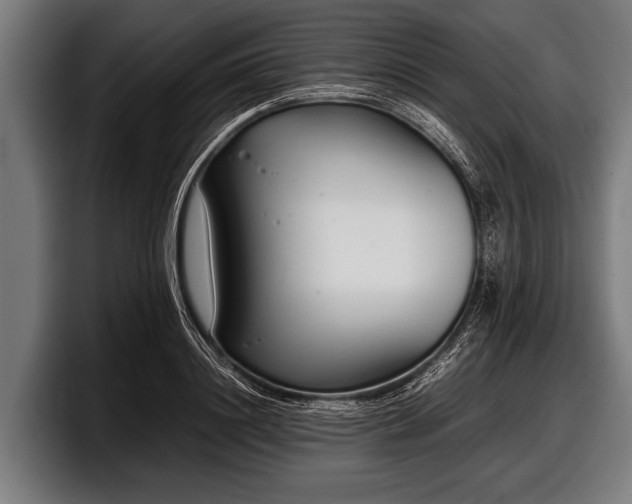 X0000097800844200803201356