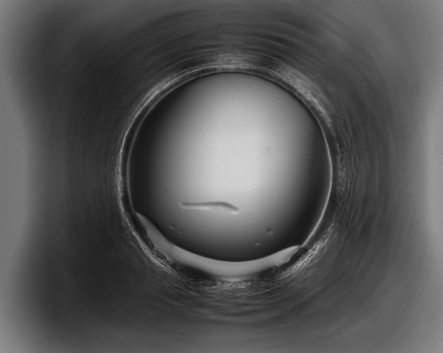 X0000097800845200803201356