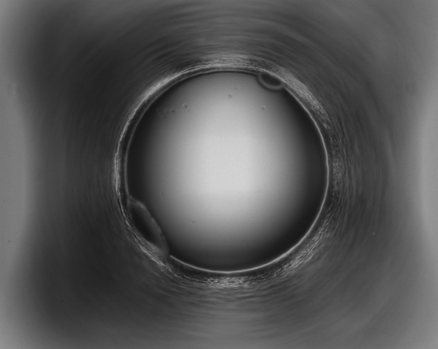 X0000097800846200803201356