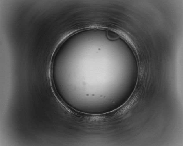 X0000097800847200803201356