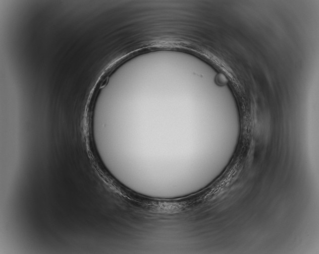 X0000097800848200803201356