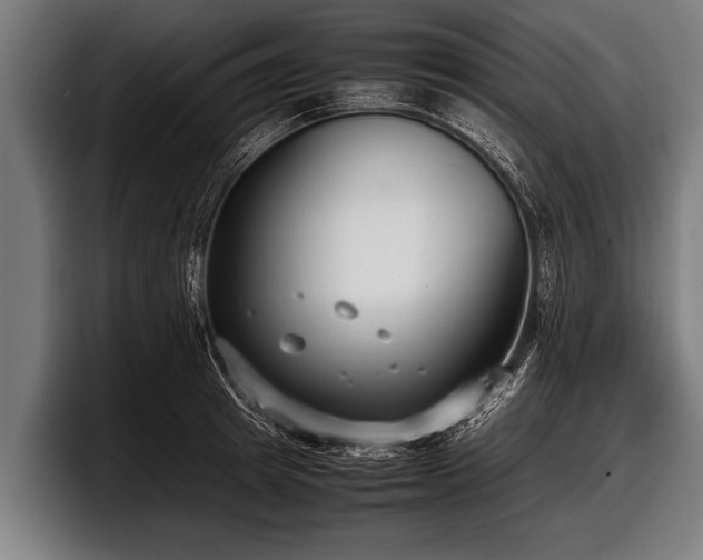 X0000097800849200803201356