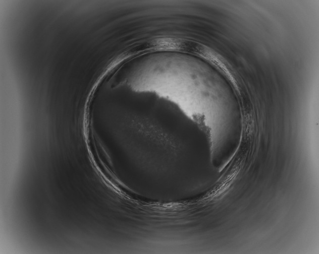 X0000097800851200803201356