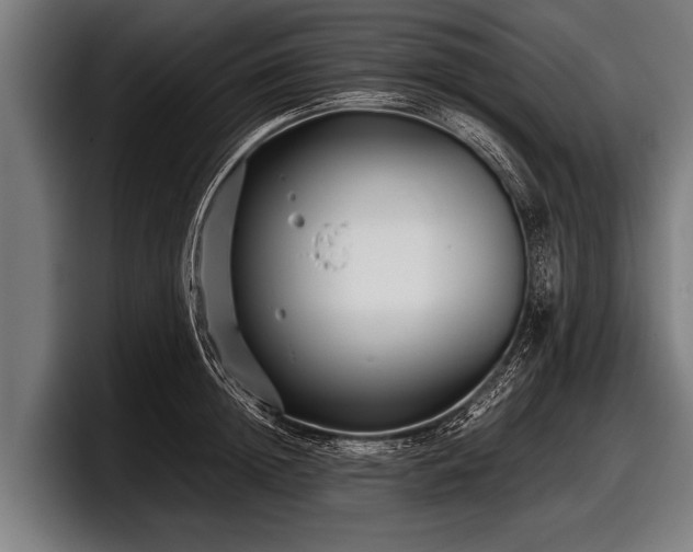 X0000097800852200803201356