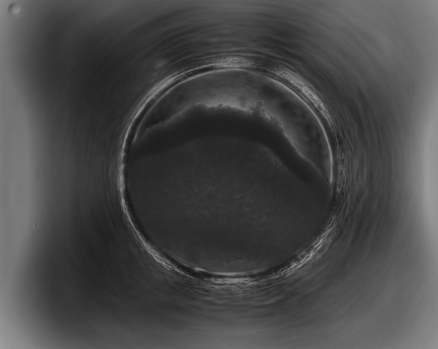 X0000097800853200803201356