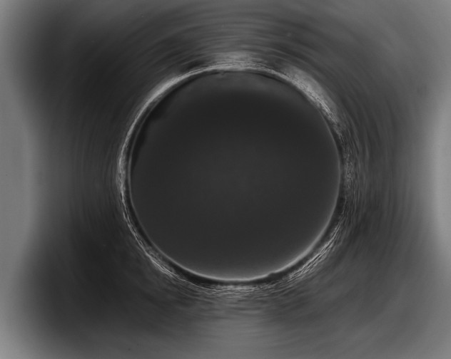 X0000097800854200803201356