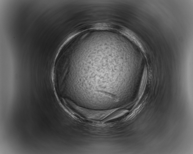 X0000097800855200803201356