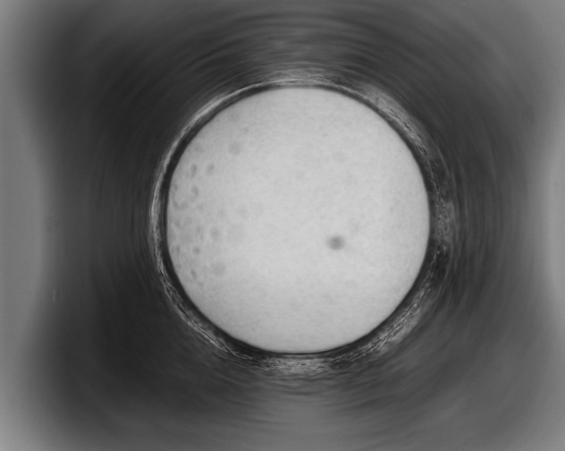 X0000097800856200803201356