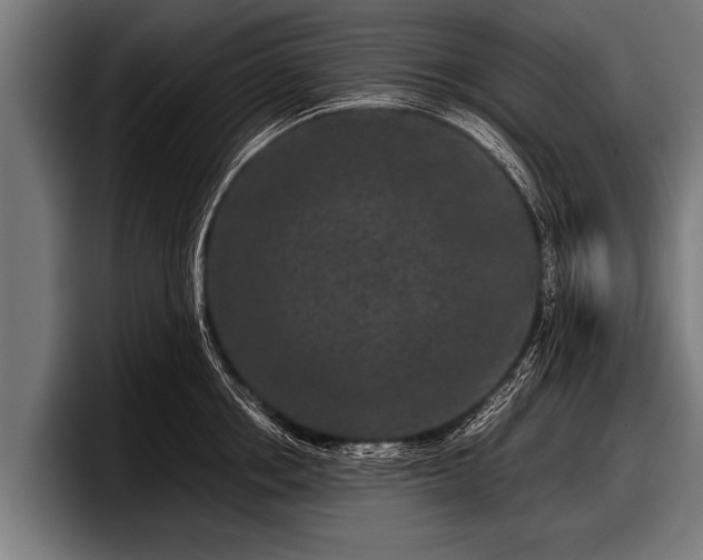 X0000097800858200803201356