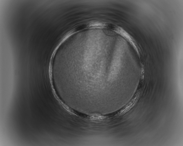 X0000097800859200803201356