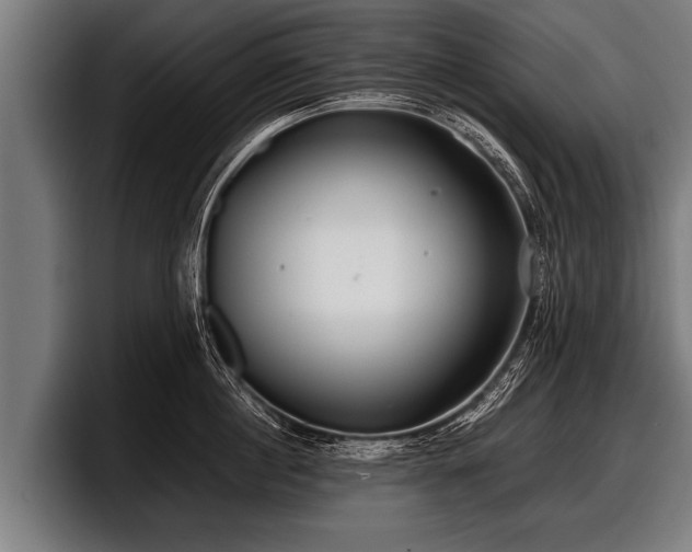 X0000097800860200803201356