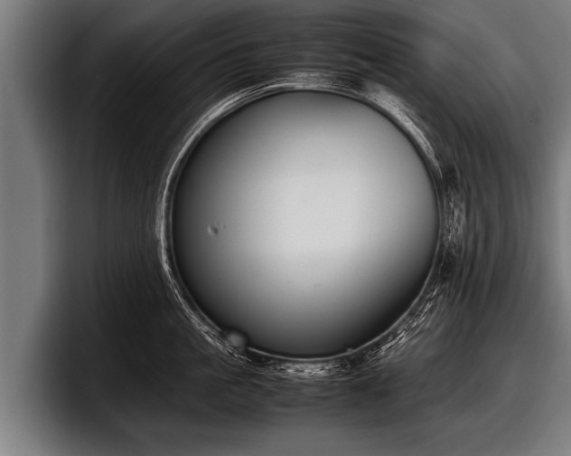 X0000097800861200803201356