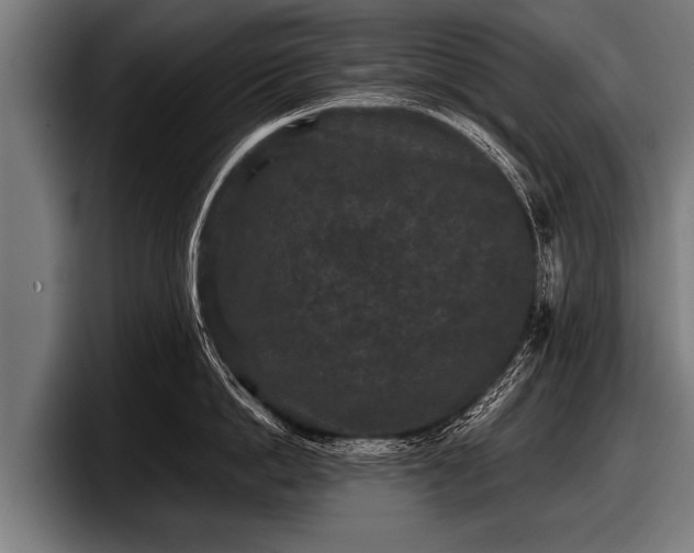 X0000097800862200803201356