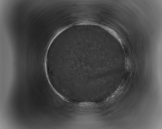 X0000097800863200803201356