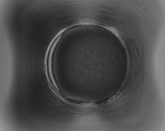 X0000097800864200803201356