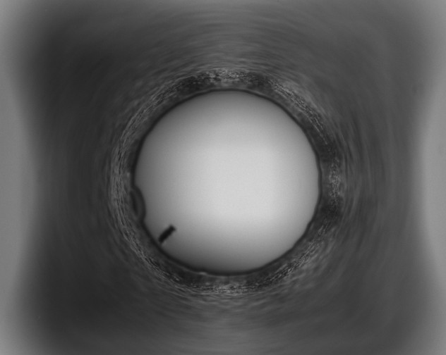 X0000097800865200803201355