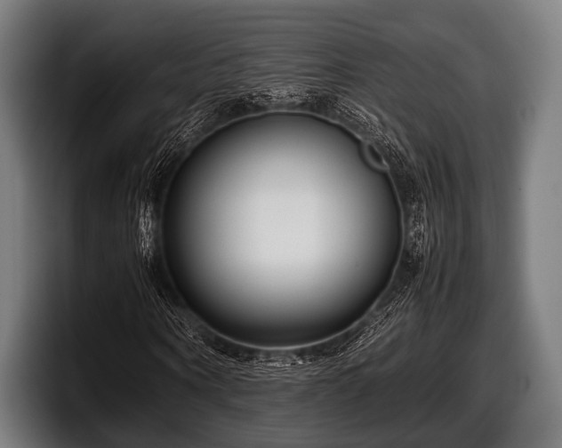 X0000097800866200803201355