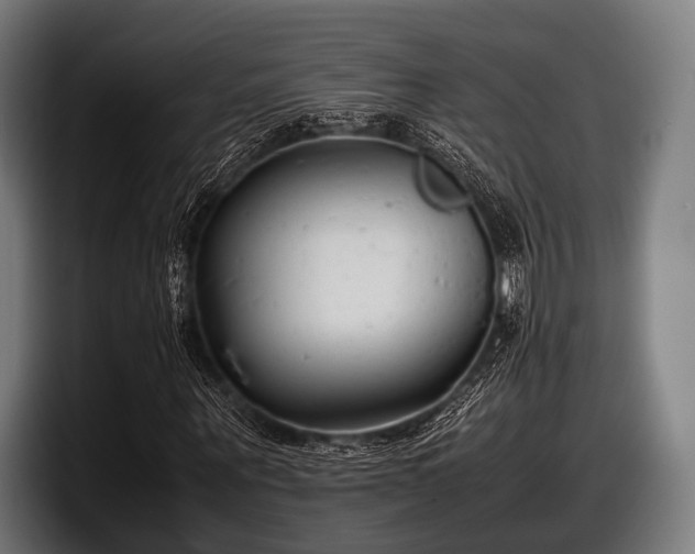 X0000097800867200803201355