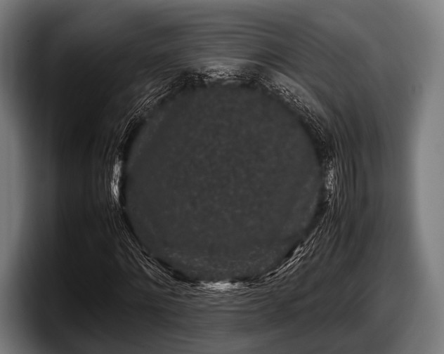 X0000097800868200803201355