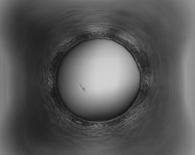 X0000097800869200803201355