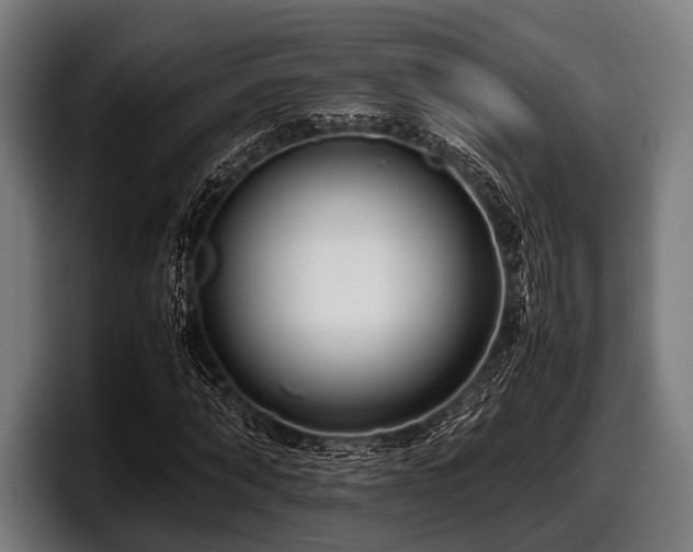 X0000097800870200803201355