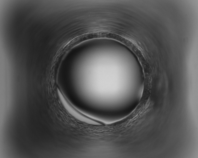 X0000097800871200803201355