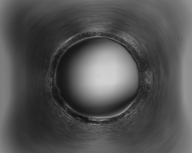 X0000097800872200803201355