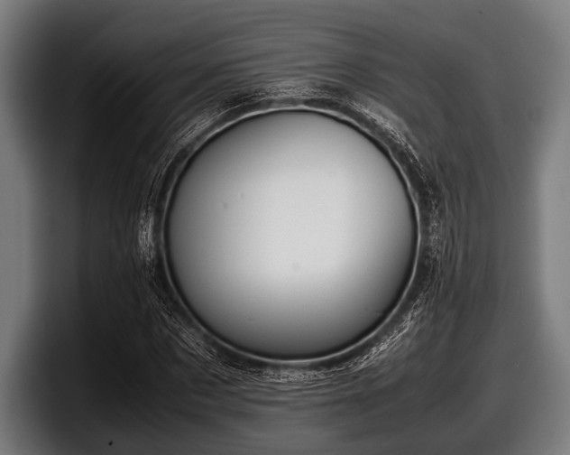 X0000097800873200803201355