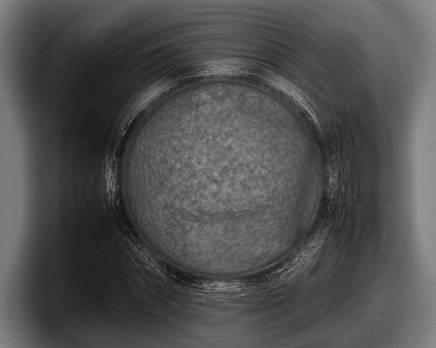 X0000097800874200803201355