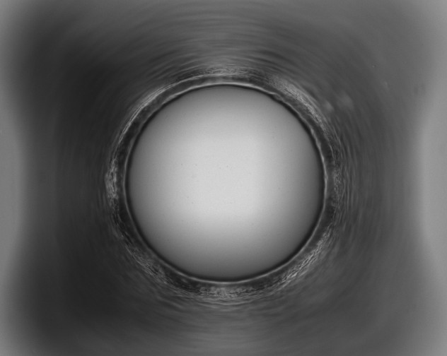 X0000097800875200803201355