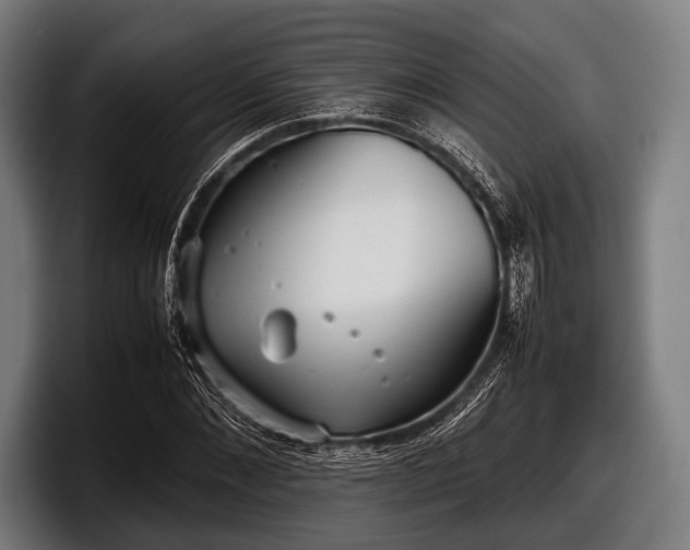 X0000097800876200803201355