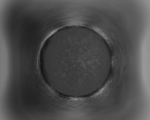 X0000097800877200803201355