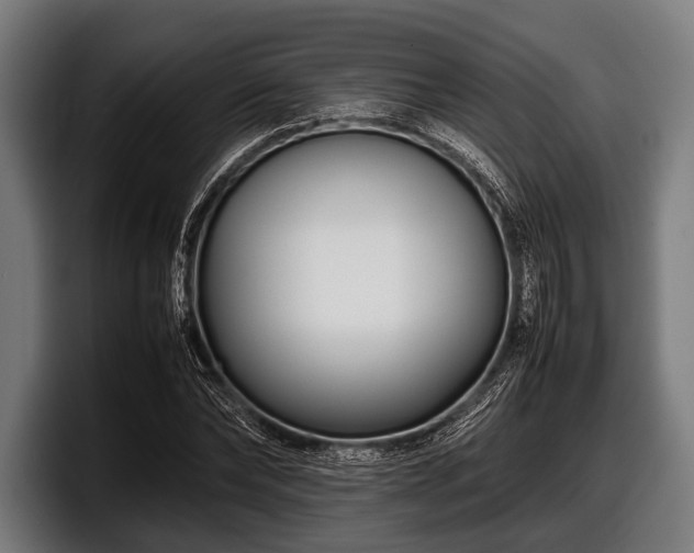 X0000097800878200803201355