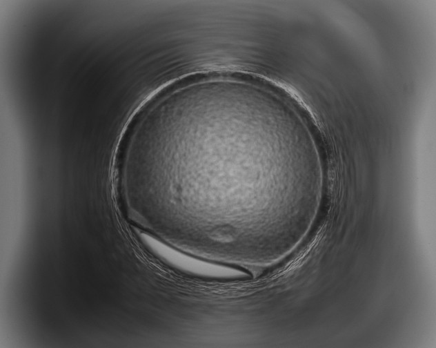 X0000097800879200803201355