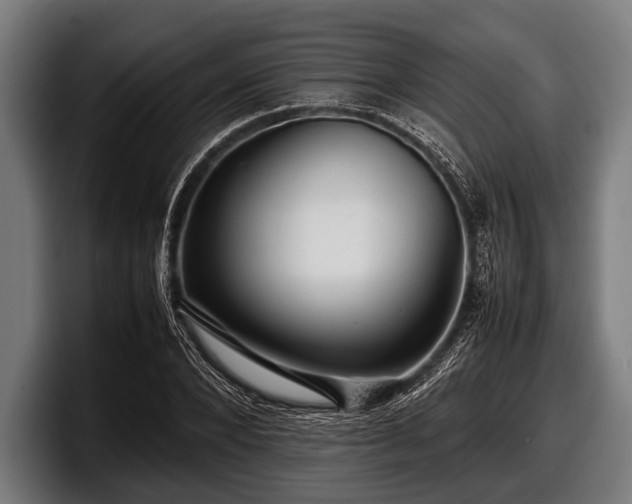 X0000097800880200803201355