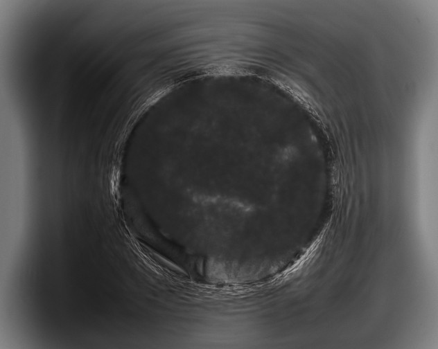 X0000097800881200803201355