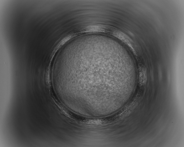 X0000097800882200803201355