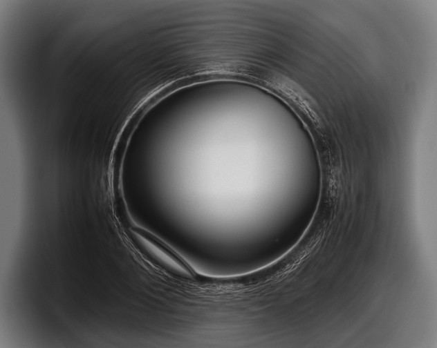 X0000097800884200803201355