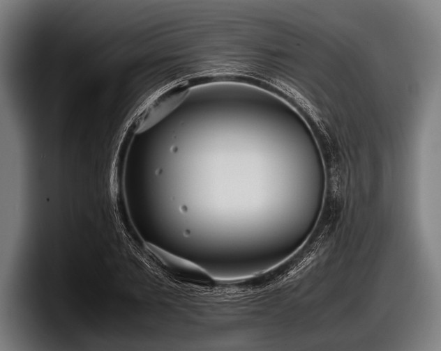 X0000097800885200803201355