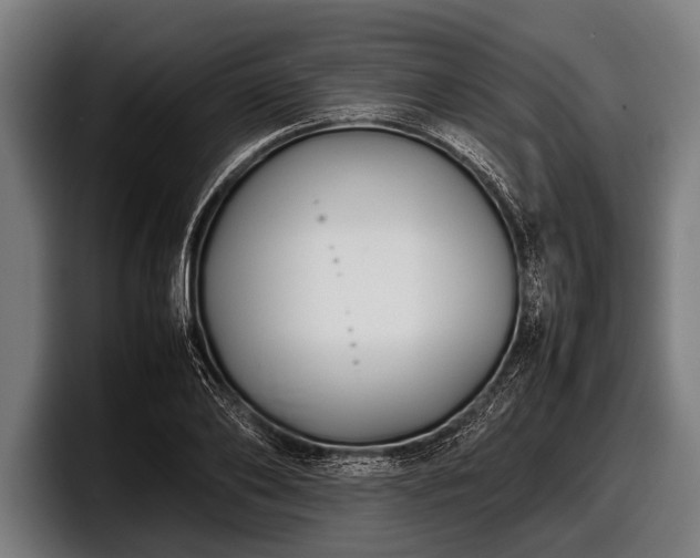 X0000097800886200803201355